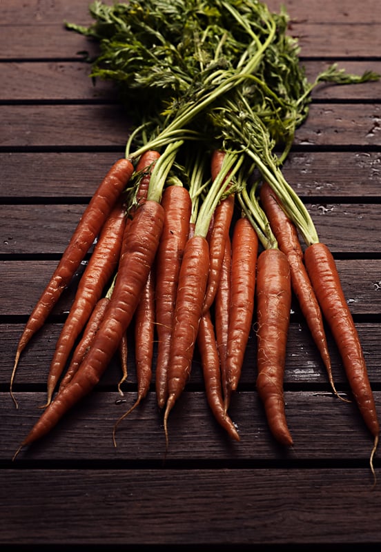 dutch-carrots-shoot-12