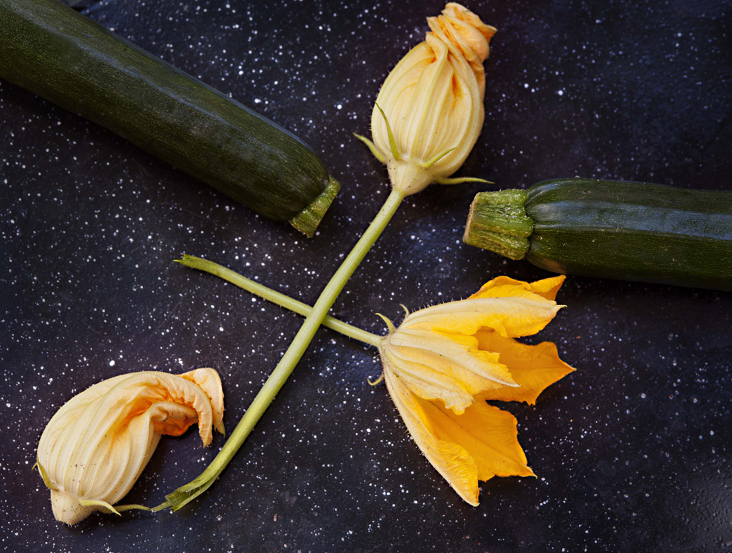 fresh zucchini shoot vegtables 8