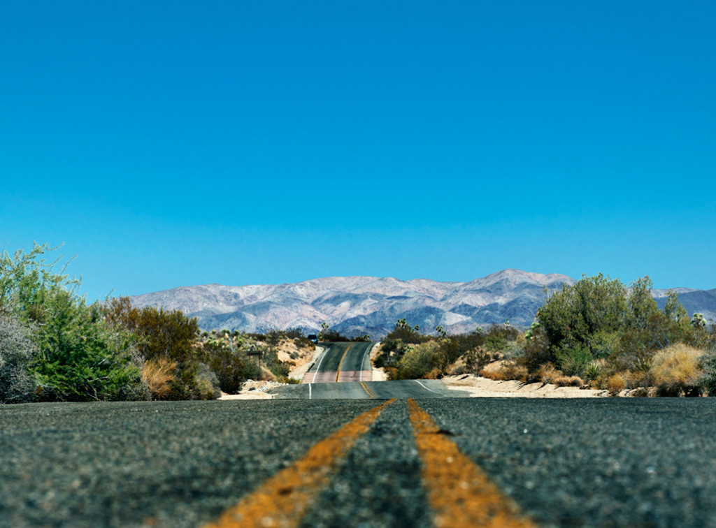 road trip joshua tree national park image 7