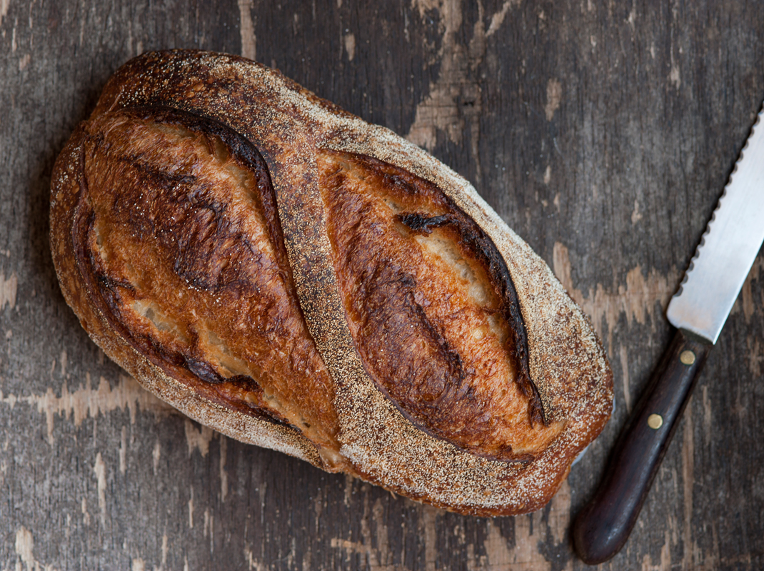 sourdough from above shoot 17