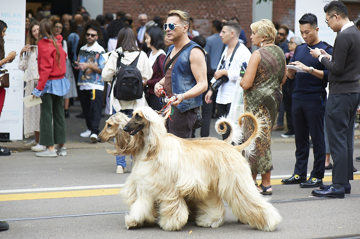 street style milan fashion week editorial dogs walk vogue influencer image 50